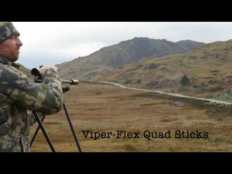 .260 Remington at 410 yards from Viper-Flex quad sticks